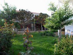 524 - Benici Miletici