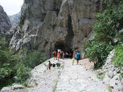 536 - Starigrad Paklenica
