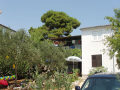 apartmani 548