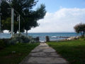 Apartman 571