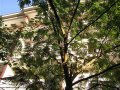 apartman 580