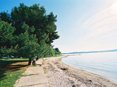 583 - Bibinje