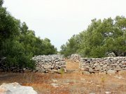 Dugi Otok