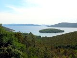 Molat