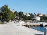 Molat