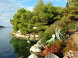 Molat