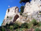 Novigrad