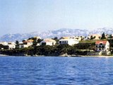 Miletici